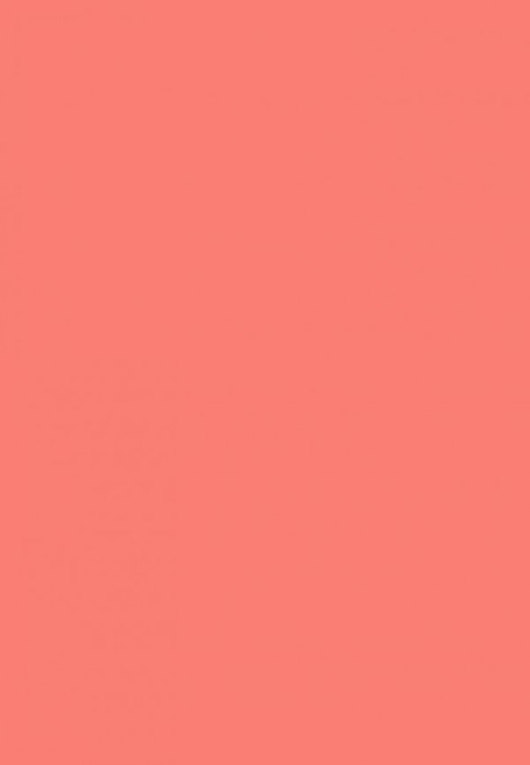 Румяна Revolution