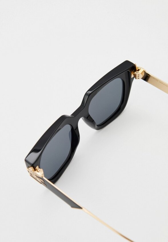 Очки солнцезащитные Etro