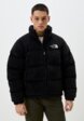Пуховик The North Face1  - превью