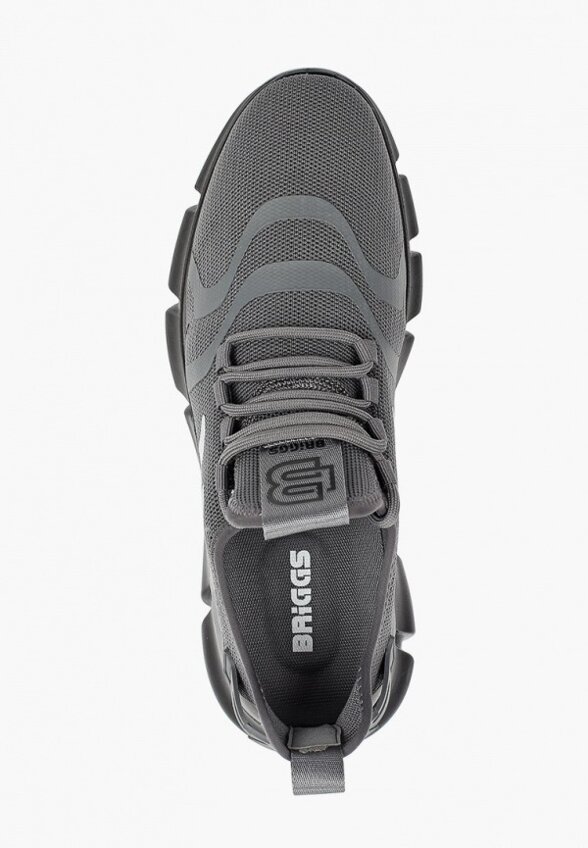 Кроссовки Briggs