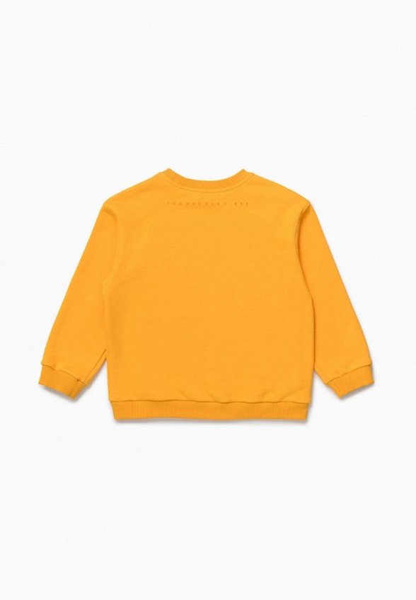 Свитшот 1st.baby