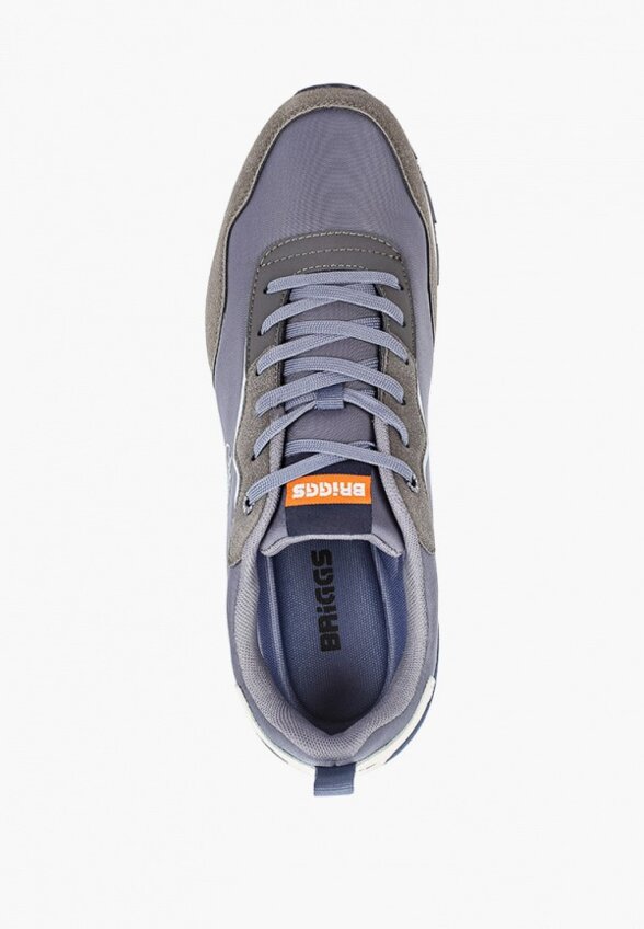 Кроссовки Briggs