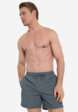 Шорты плавательные мужские Ellesse, Серый1  - превью
