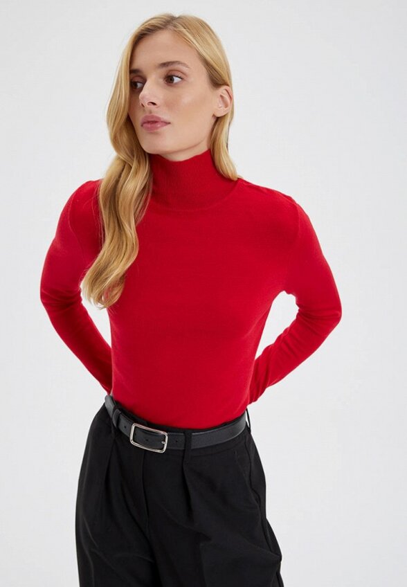 Водолазка Red Cardigan