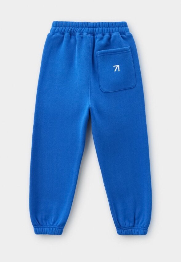 Брюки спортивные Asia st 71