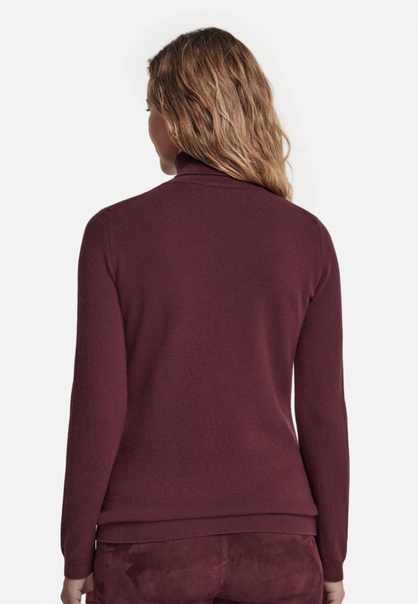 Водолазка Falconeri