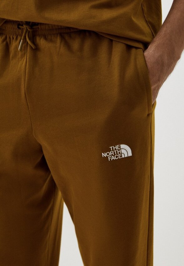 Брюки спортивные The North Face