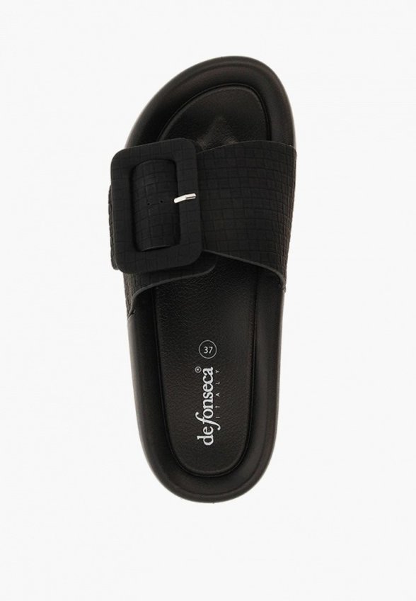 Сланцы De Fonseca