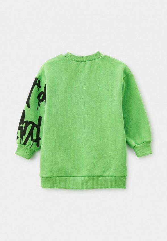 Свитшот Pelican