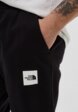 Брюки спортивные The North Face4  - превью