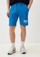 Шорты спортивные Terranova1  - превью