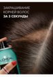 Консилер для волос L'Oreal Paris10  - превью