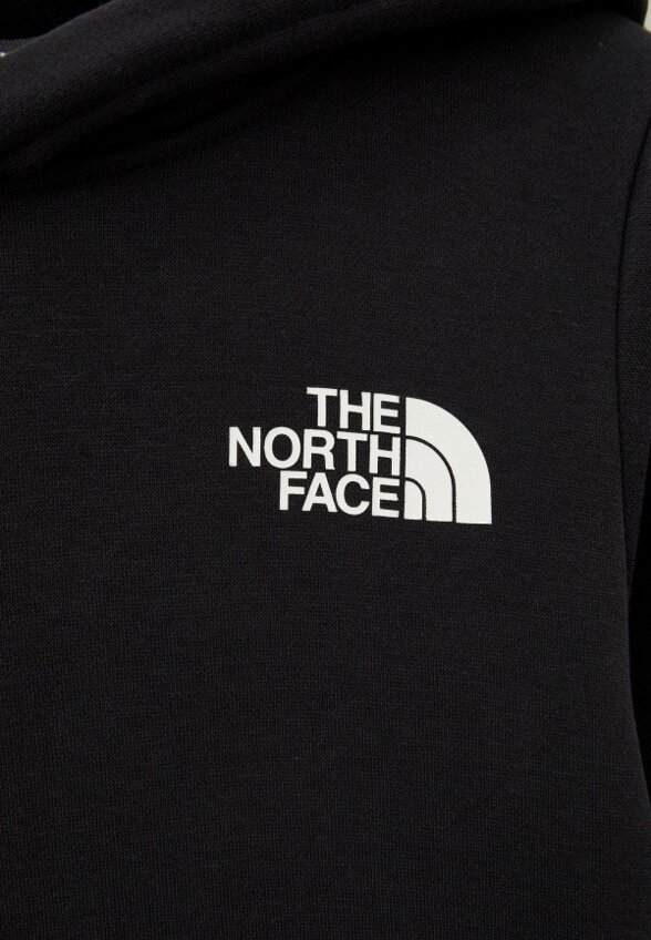 Худи The North Face