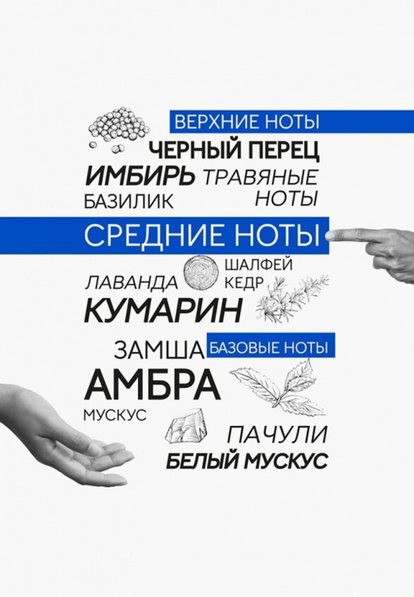 Парфюмерная вода Art&Nose