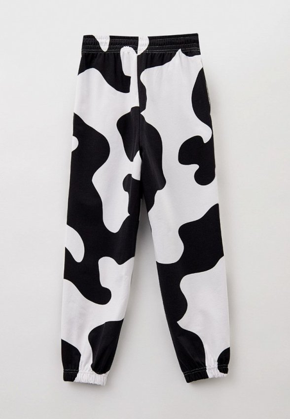 Брюки спортивные Crazy Getup