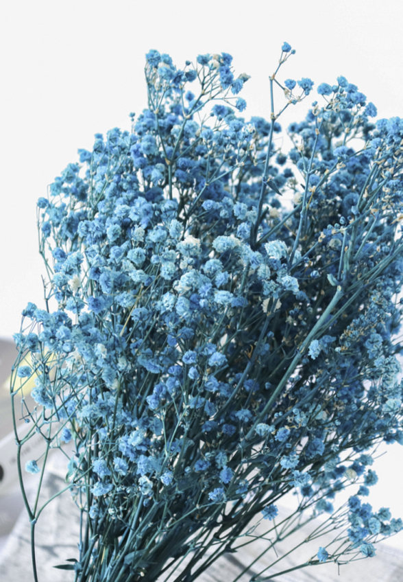 Растение искусственное Mandarin Decor