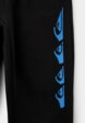 Брюки спортивные Quiksilver3  - превью