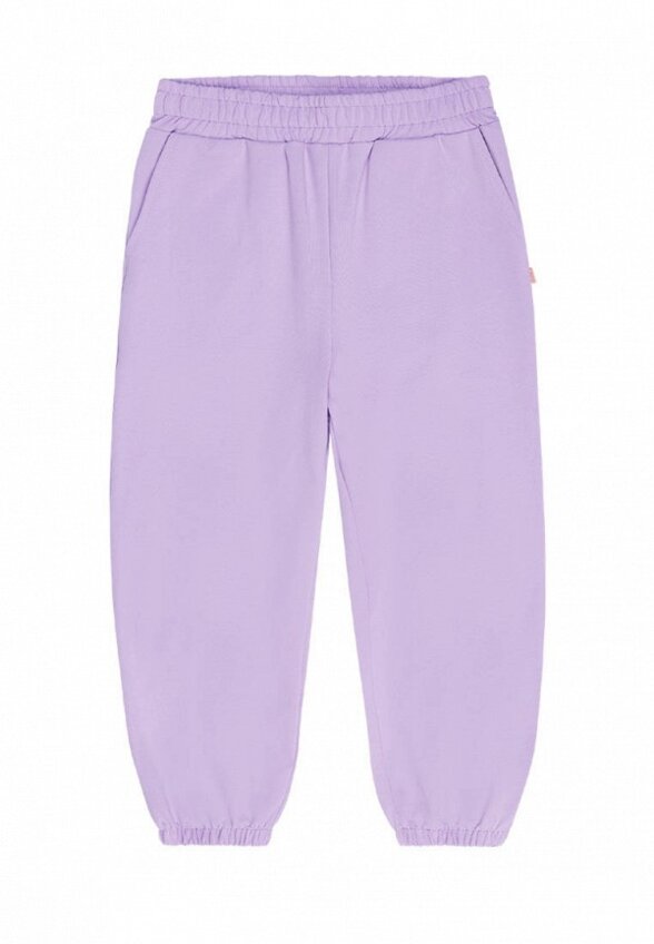 Брюки спортивные Bossa Nova