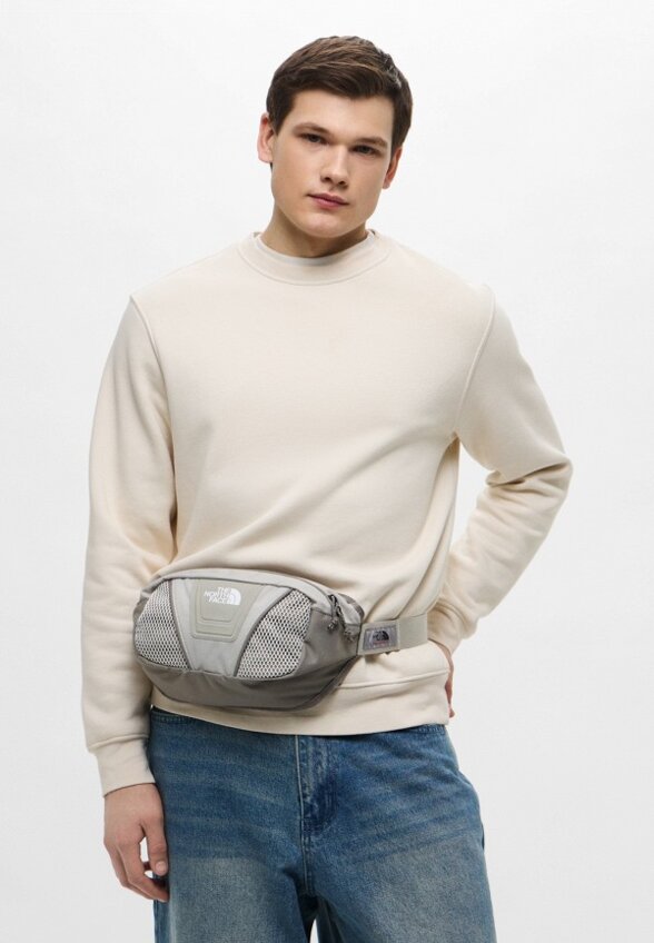 Сумка поясная The North Face