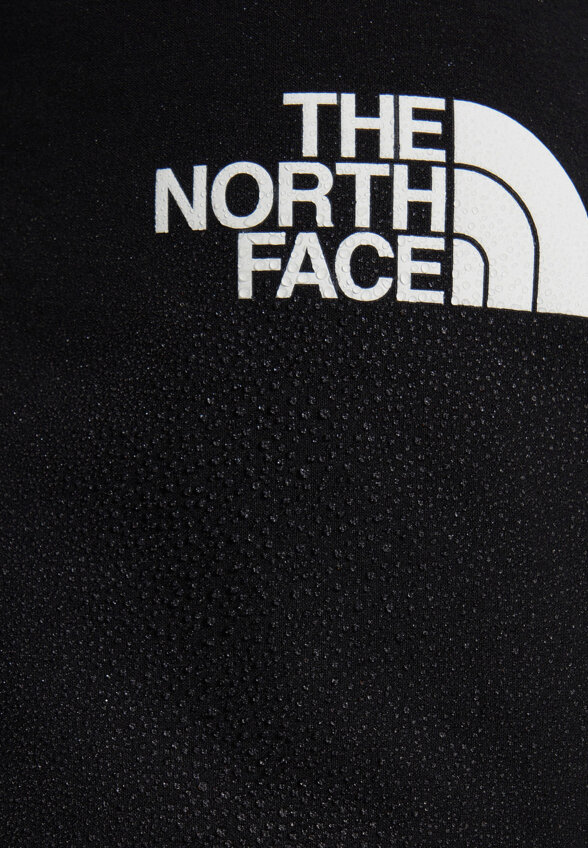 Брюки мужские The North Face Speedlight, Черный