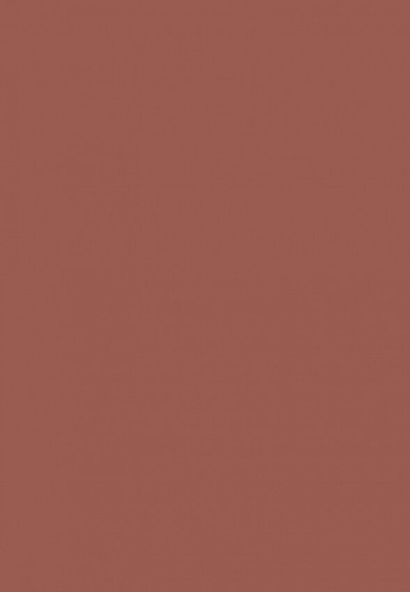 Карандаш для губ Shik