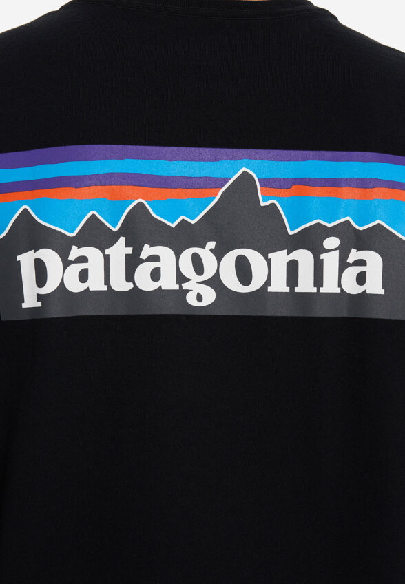Футболка мужская Patagonia Logo, Черный