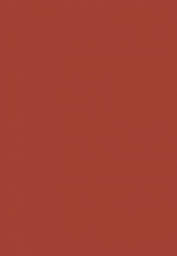 Карандаш для губ Funky Monkey