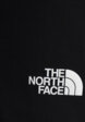 Брюки мужские The North Face Speedlight, Черный7  - превью