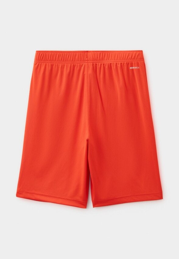 Шорты спортивные Demix