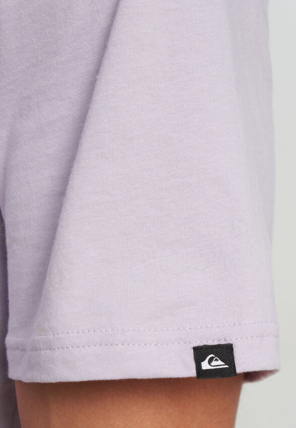 Футболка мужская Quiksilver Ev Vista, Фиолетовый