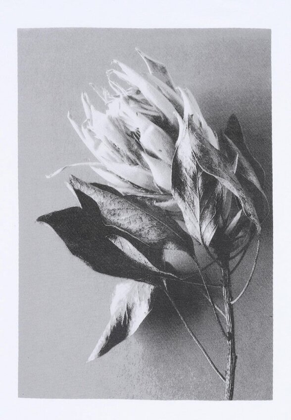 Футболка Апрель