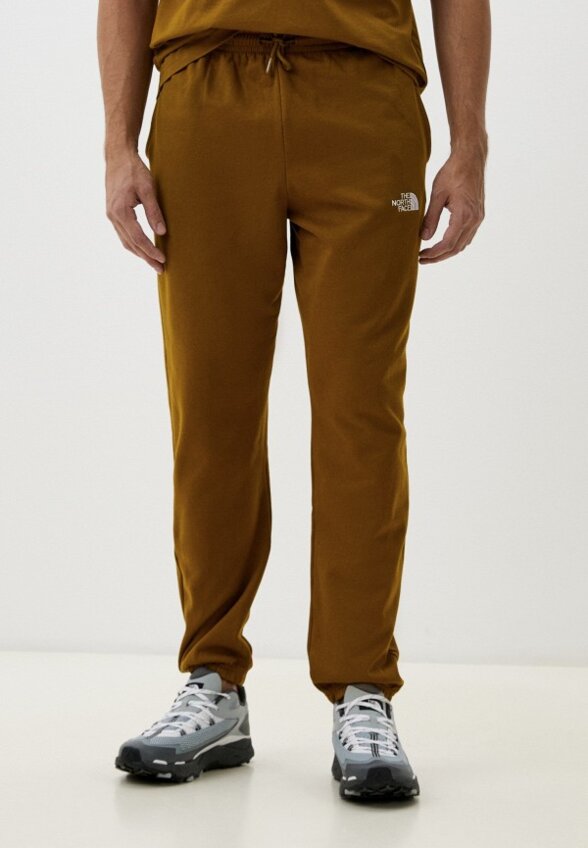 Брюки спортивные The North Face