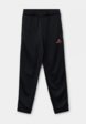 Брюки спортивные Demix1  - превью
