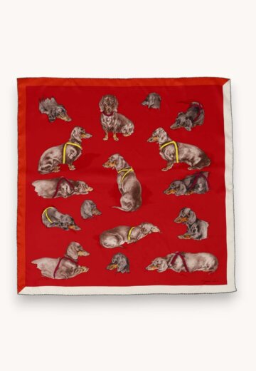 Hermes Scarf