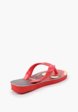 Сланцы Havaianas3  - превью