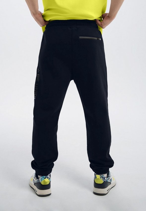 Брюки спортивные Pulse