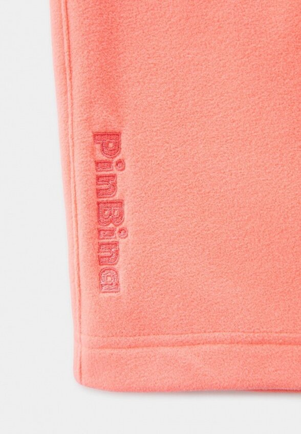 Брюки спортивные PinBina