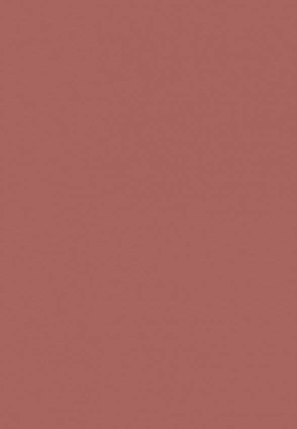 Карандаш для губ Influence Beauty