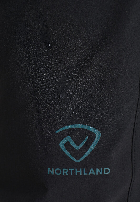 Брюки мужские Northland, Черный