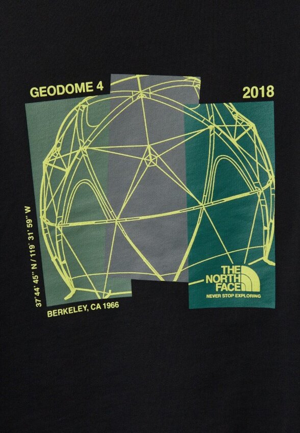 Худи The North Face