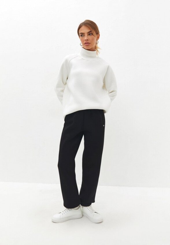 Брюки спортивные RebelPro