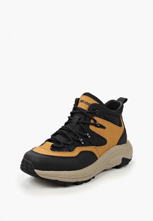 Кроссовки Briggs