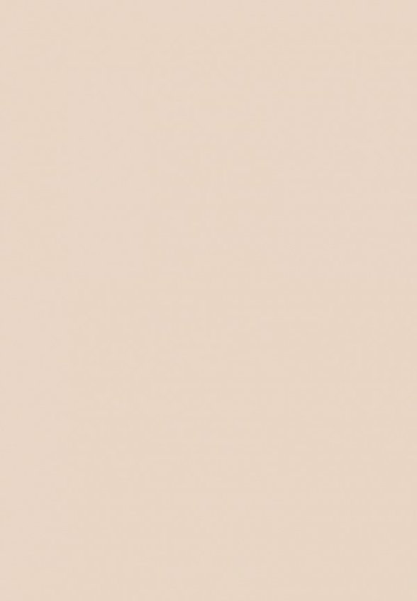 Пудра рассыпчатая Revolution