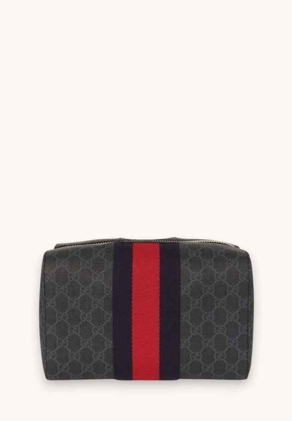 Gucci Case