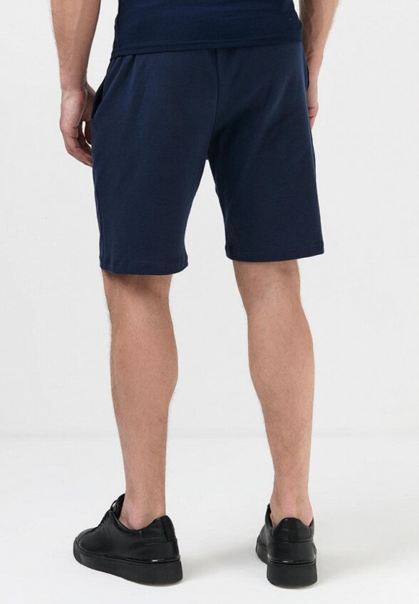 Шорты спортивные Envylab