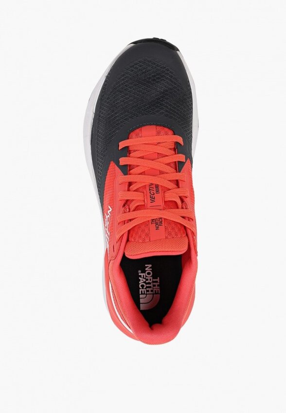 Кроссовки The North Face