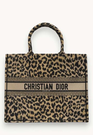 Dior Book Tote