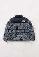 Пуховик The North Face2  - превью