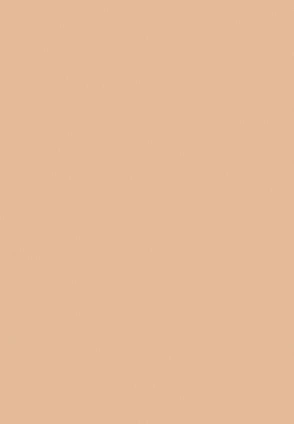 Пудра компактная Limoni