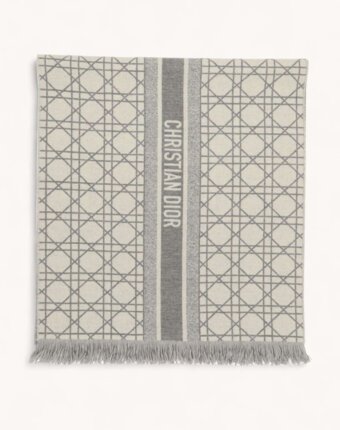 Dior Scarf женщинам